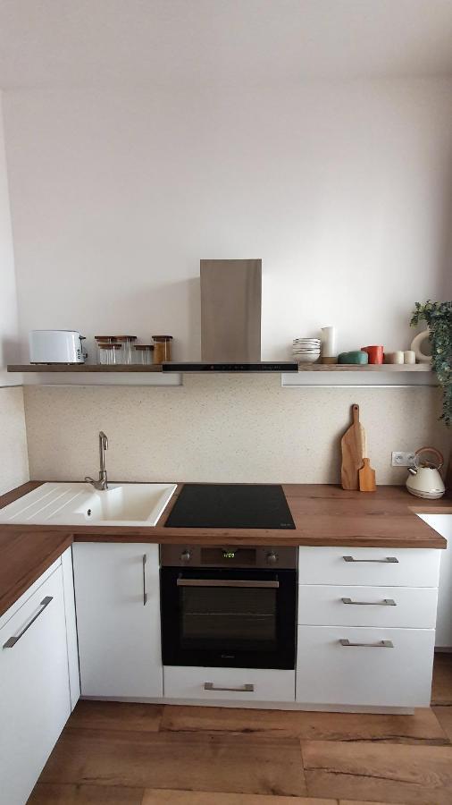 Appartement Au Calme T3 Rdc - Quartier De France فيشي المظهر الخارجي الصورة